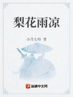 梨花雨凉我等风雪又一年全词