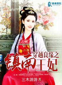 穿越良缘之镇南王妃 第1章