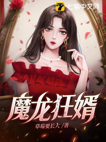 魔神龙婿