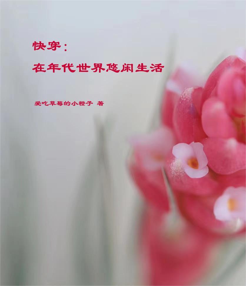 快穿在年代世界悠闲生活席祯