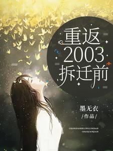 重返2003