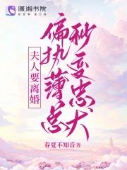 夫人总想离婚傅向沉