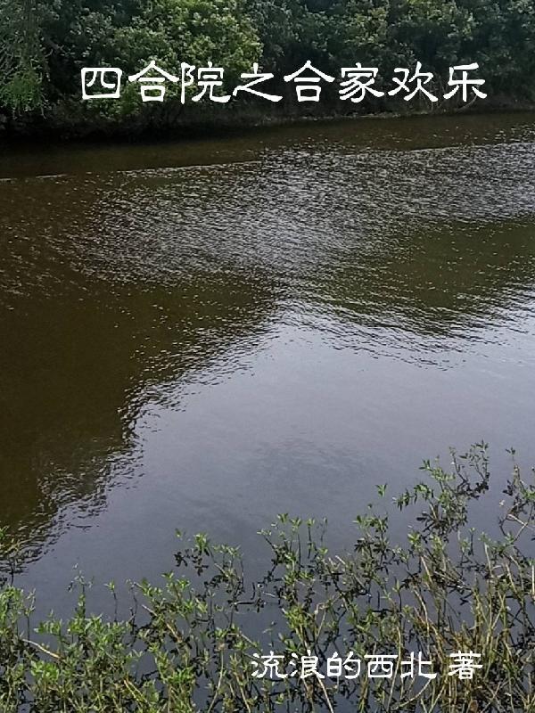 四合院之合家欢乐流浪的西北