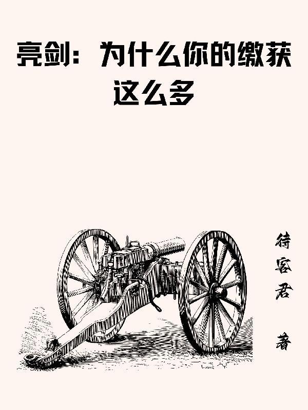 亮剑我给云龙当领导(待客君)