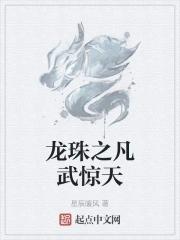 龙珠之武学天才免费全文阅读