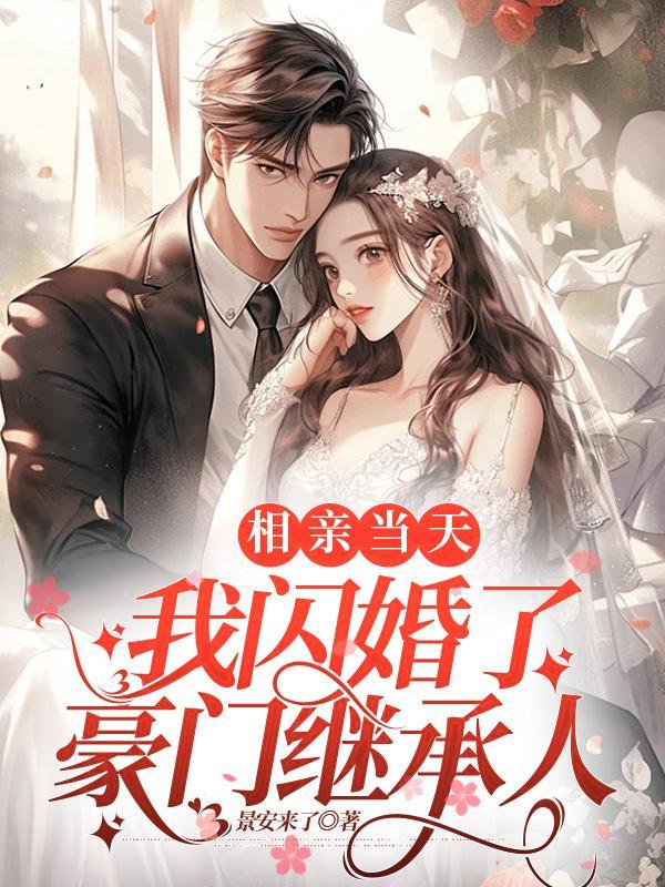 相亲闪婚文