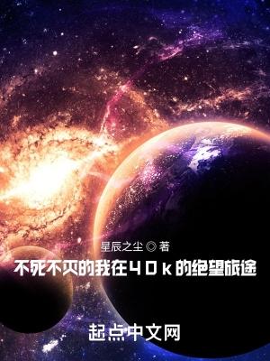 不死不灭的我在40k的绝望旅途星辰之尘