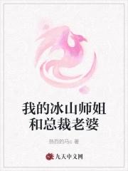 我的冰山师父