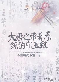 大唐带系统