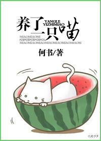 想养只猫