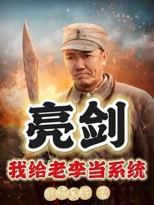 亮剑是什么水平