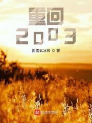 重回2003西工大