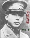 少帅春秋书籍