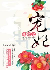 红楼之宠妃panax文学楼