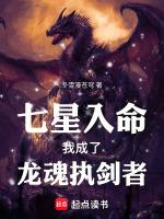 主角穿越成七星龙渊