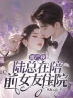 穆婉娇陆简州网易