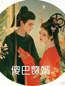 傻子赘婿