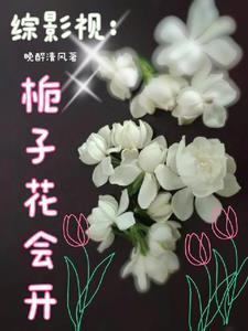 综影视含花城