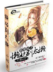 驱魔师之懒妃别太懒全文免费