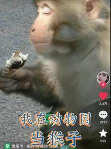 我变成了一只猴子