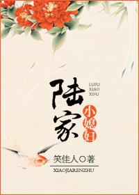 陆家小媳妇无删减网