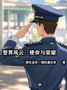 电视剧警界风云