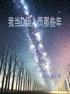 你好我是d级人员