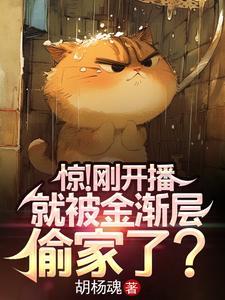 金渐层猫凶不凶