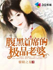 腹黑首席的极品老婆完整版