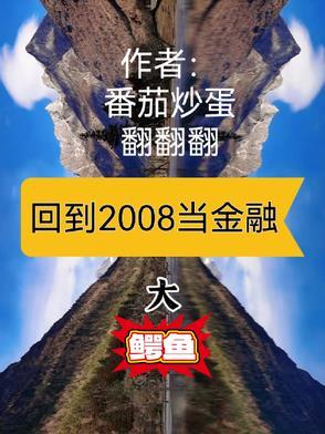 从回2000年成金融大鳄