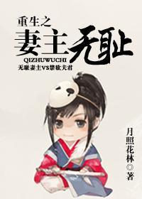 重生之妻主无耻女尊