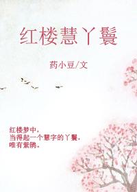 红楼慧丫鬟 药小豆