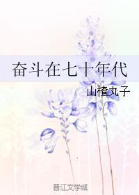 奋斗在七十年代许秋阳罗建刚