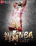 制霸nba之传奇分卫