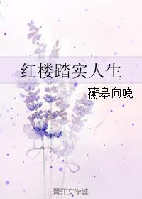 红楼之踏实人生txt