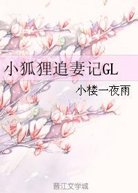 小狐狸追妻日常 百度