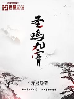 九霄圣凰完整版