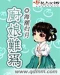 网剧 厨娘