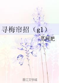 寻梅帘招gl