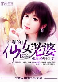 我的仙女俏老婆TXT