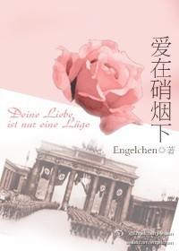 爱在硝烟下本书作者engelchen