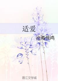 适爱拼音