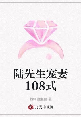 陆先生宠妻108式