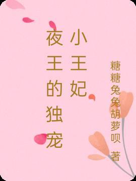 夜王的独宠小王妃