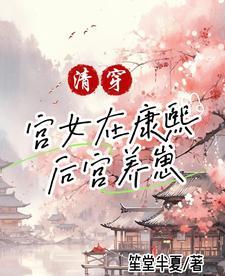 清穿：在康熙后宫做妾室